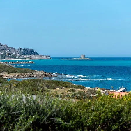 Dom wakacyjny Sardinia Re - Villino Punta Negra Stintino